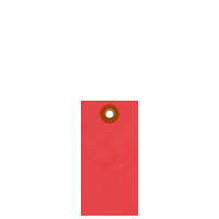 Red Blank Tyvek Shipping With Metal Eyelet